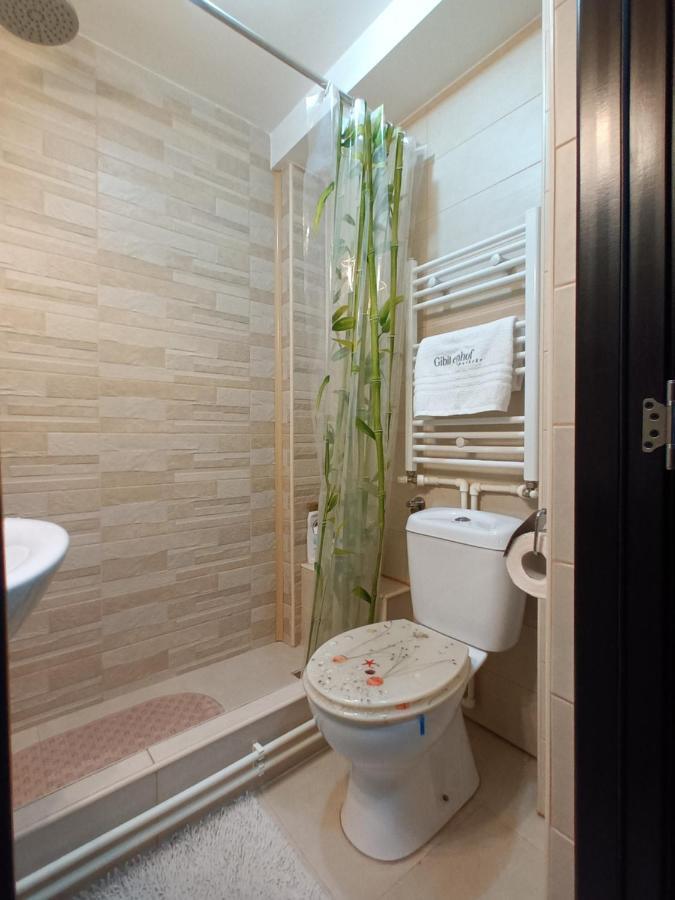 Studio Central Vajdahunyad Kültér fotó